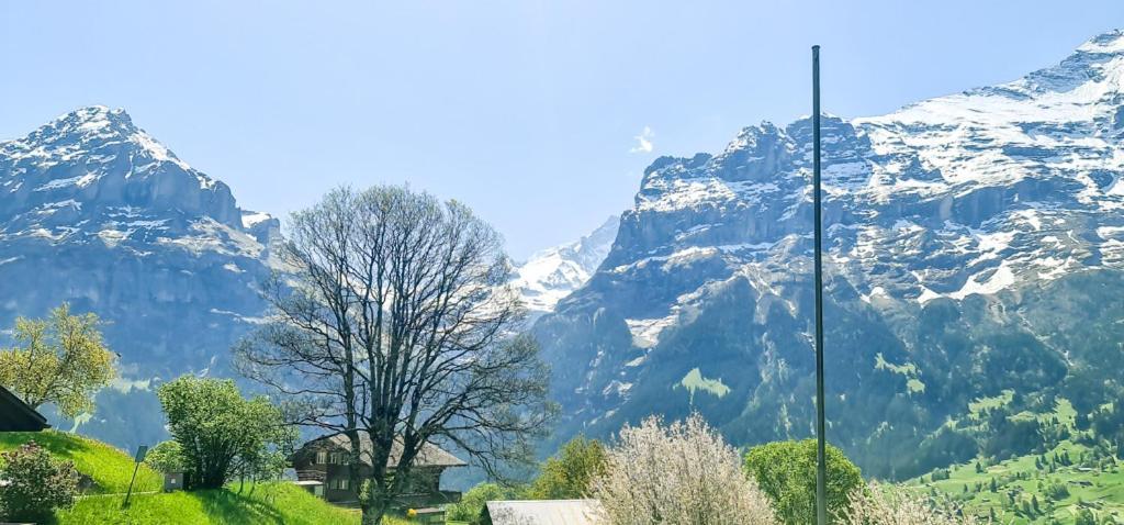 Bussalp Apartment - Aare Jungfrau Ag Grindelwald Exterior foto