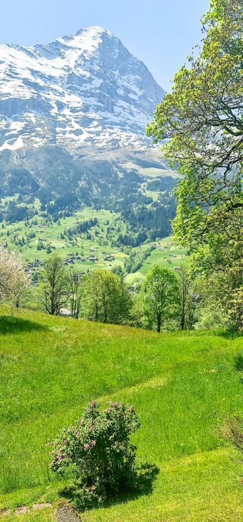 Bussalp Apartment - Aare Jungfrau Ag Grindelwald Exterior foto